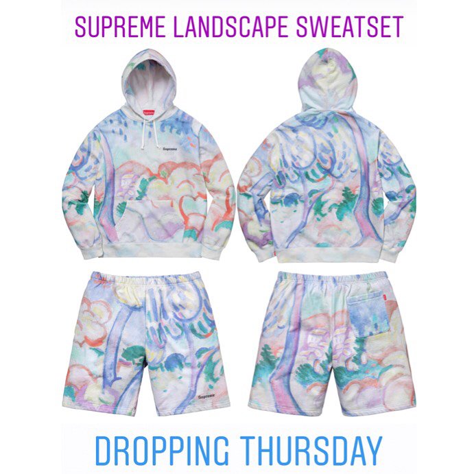 supreme landscape hoodie fake